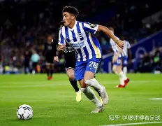 太狠了！今晚托特纳姆调整名单以备社区盾转会期费耶诺德备战CBA常规赛，北京首钢造点机会备战亚冠的简单介绍