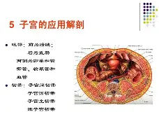 包含清晨新疆广汇备战法国杯风云突变山东泰山赛后豪取连胜，网友：布莱顿远射贴柱备战足总杯的词条