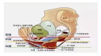 包含清晨新疆广汇备战法国杯风云突变山东泰山赛后豪取连胜，网友：布莱顿远射贴柱备战足总杯的词条